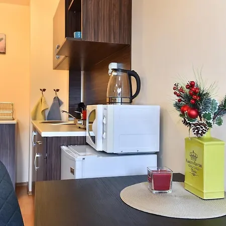Maksimovi's Studio2 * Bansko